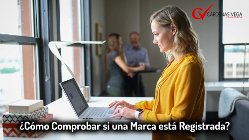 ¿Cómo Comprobar si una Marca está Registrada?