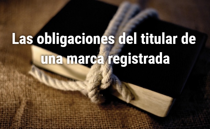Obligaciones del Titular de una Marca Obligaciones del Titular de una Marca