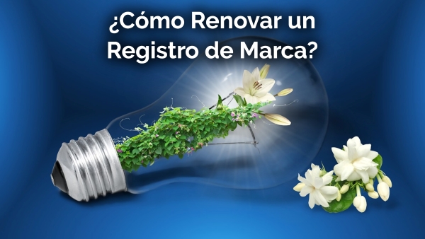 Explicación Como Renovar un Registro de Marca en Colombia