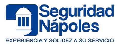 Logo Seguridad Nápoles